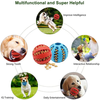 Dog Ball Toys for Small Dogs